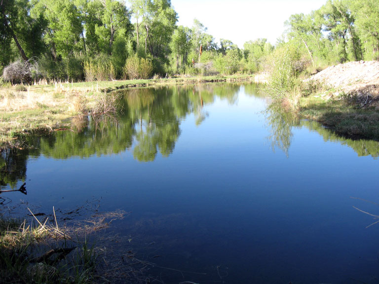 Pond Reclamation Gunnison