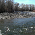 Gunnison Stream Restoration