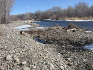 Stream Restoration Moncrief River