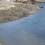 Gunnison Stream Restoration