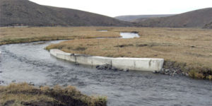 Stream Restoration Gunnison River